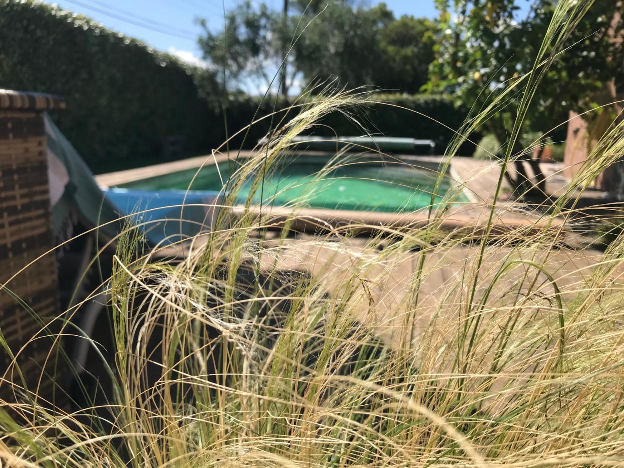 Chambre D'Hotes Coeur Du Var Le Luc Exteriör bild